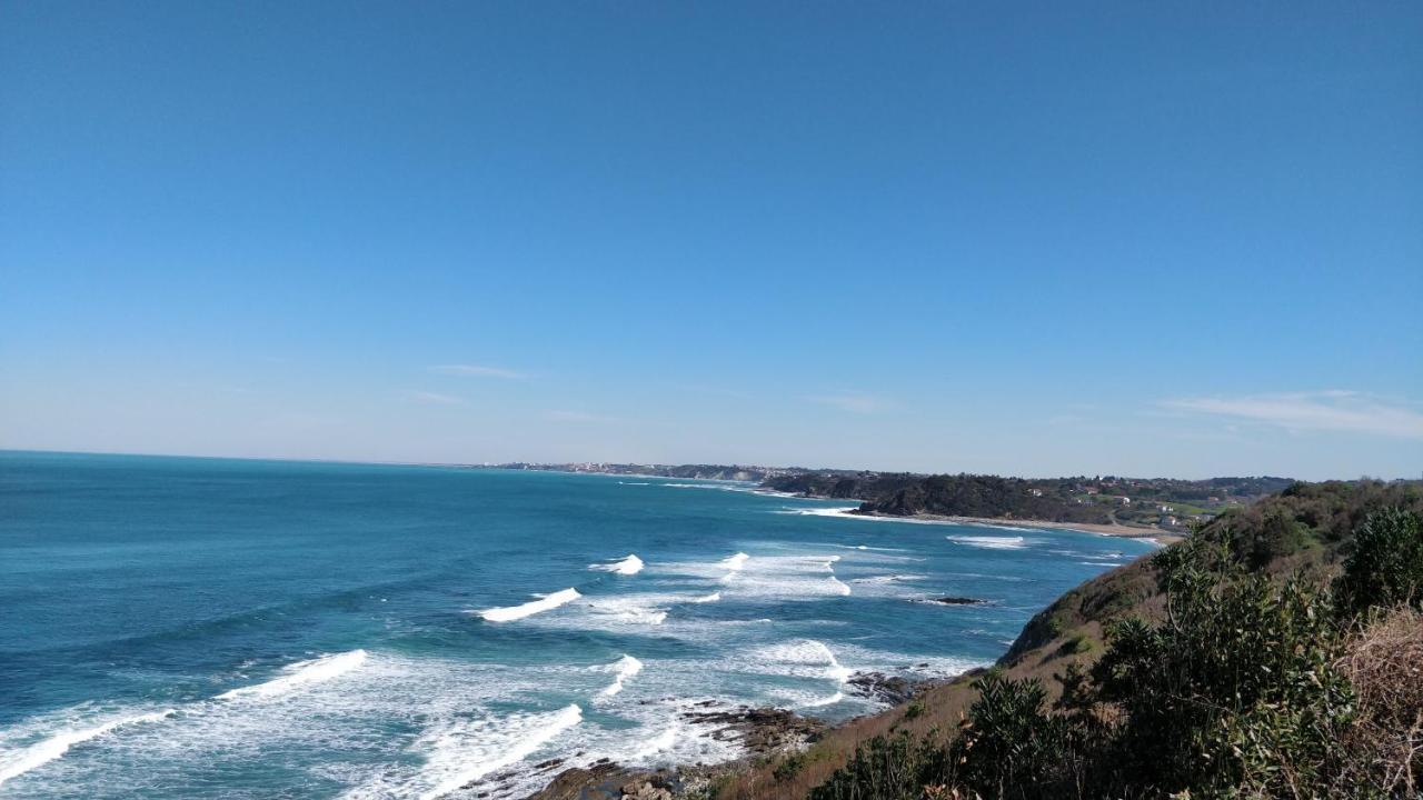 T1 Ou T2 Dans Villa Avec Jardin Proche Biarritz Anglet Exterior foto