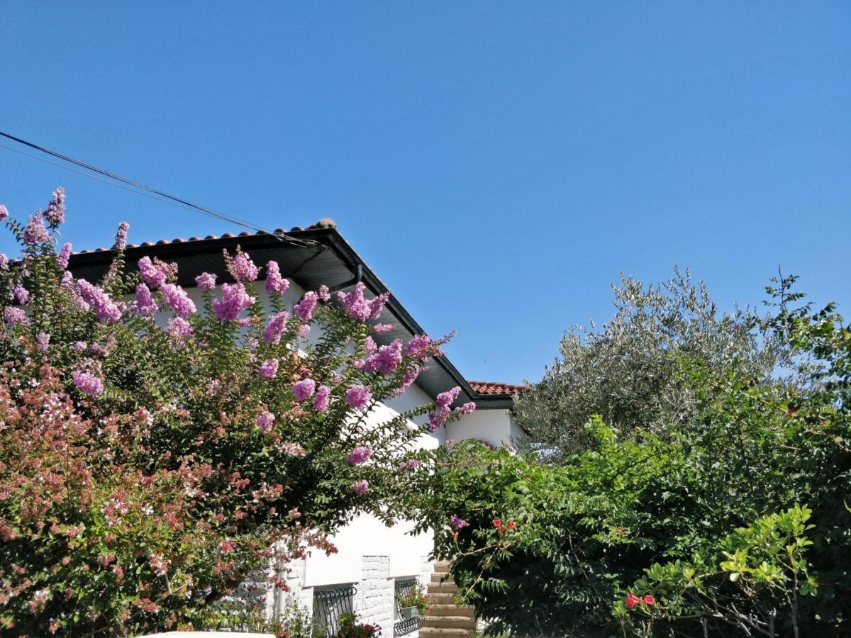 T1 Ou T2 Dans Villa Avec Jardin Proche Biarritz Anglet Exterior foto