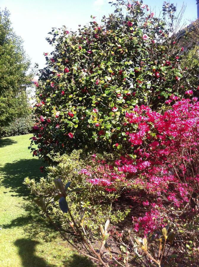 T1 Ou T2 Dans Villa Avec Jardin Proche Biarritz Anglet Exterior foto